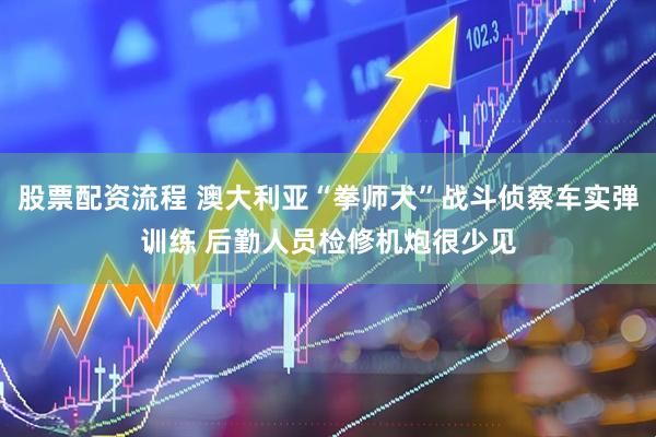 股票配资流程 澳大利亚“拳师犬”战斗侦察车实弹训练 后勤人员检修机炮很少见